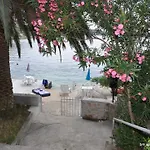 Bm * Rogoznica