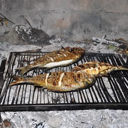 Bm Rogoznica