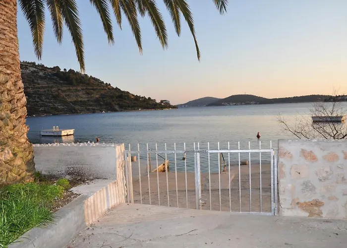 Bm * 로고즈니차