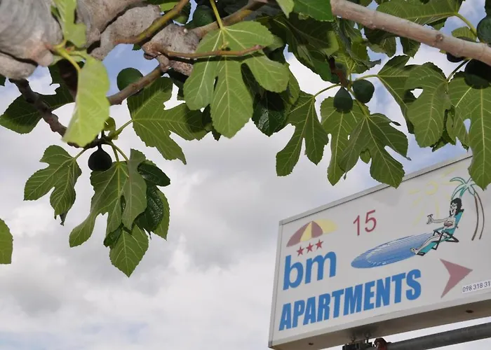 Bm * 로고즈니차